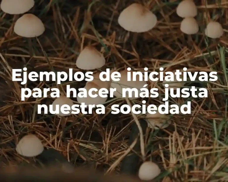 Ejemplos de iniciativas para hacer más justa nuestra sociedad