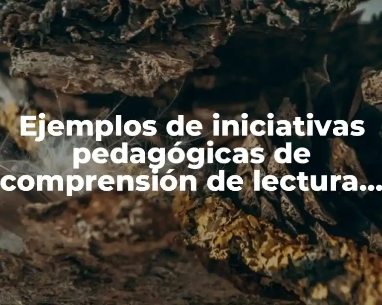 Ejemplos de iniciativas pedagógicas de comprensión de lectura en