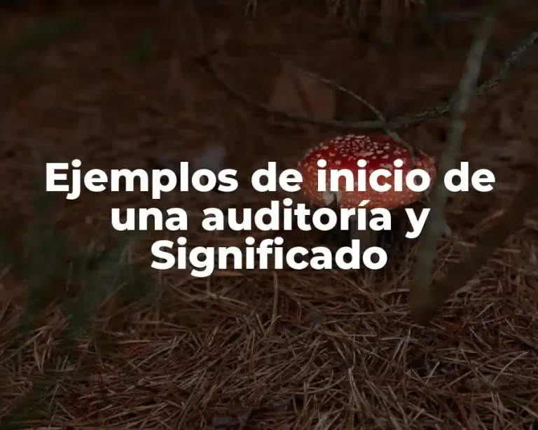 Ejemplos de inicio de una auditoría y Significado