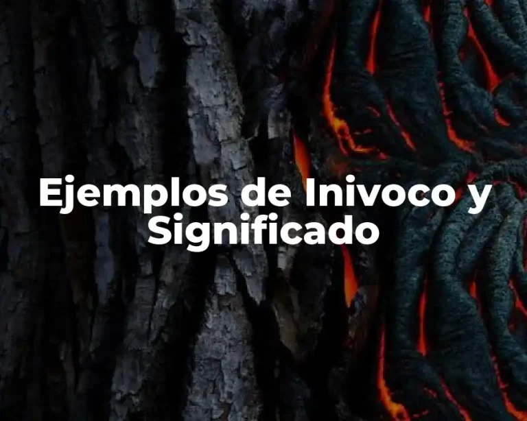 Ejemplos de Inivoco y Significado