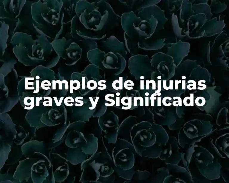 Ejemplos de injurias graves y Significado