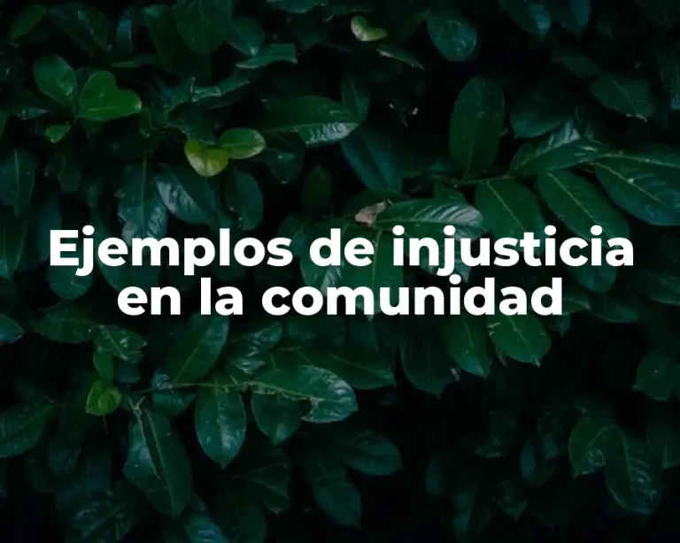 Ejemplos de injusticia en la comunidad