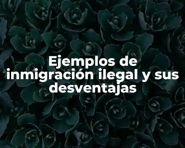 Ejemplos de inmigración ilegal y sus desventajas