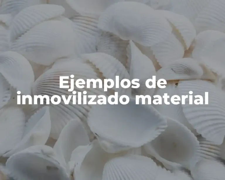 Ejemplos de inmovilizado material