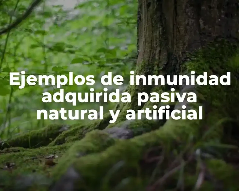 Ejemplos de inmunidad adquirida pasiva natural y artificial