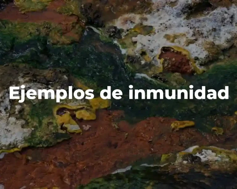 Ejemplos de inmunidad