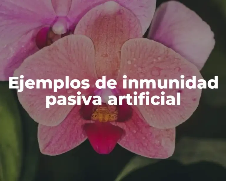 Ejemplos de inmunidad pasiva artificial