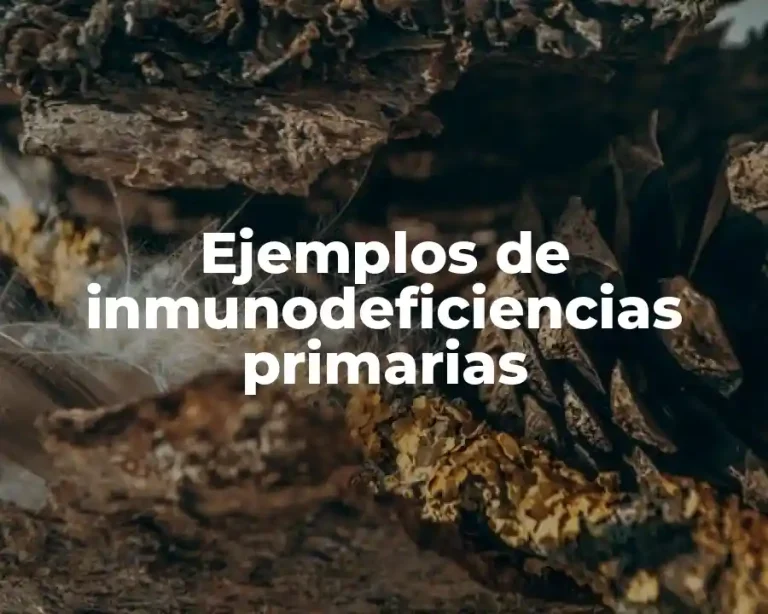 Ejemplos de inmunodeficiencias primarias