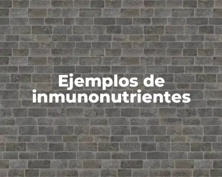 Ejemplos de inmunonutrientes