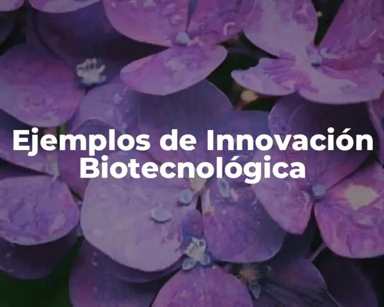 Ejemplos de Innovación Biotecnológica