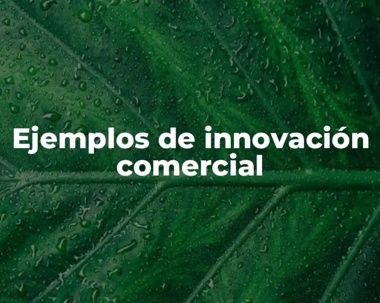 Ejemplos de innovación comercial