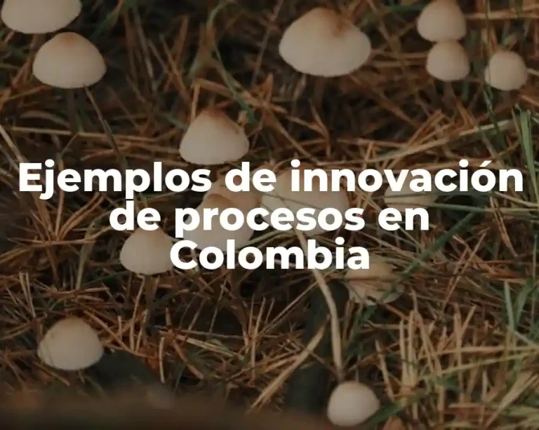 Ejemplos de innovación de procesos en Colombia