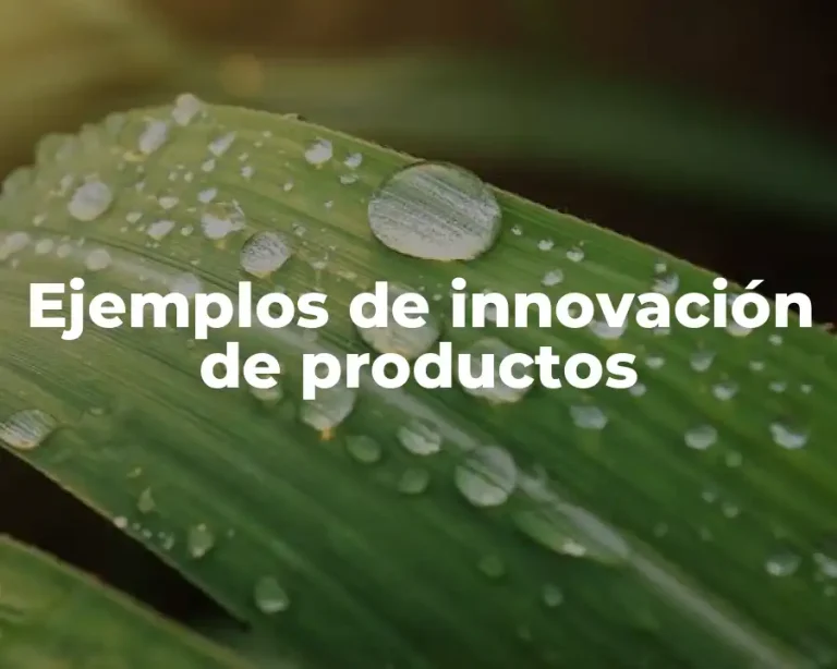 Ejemplos de innovación de productos