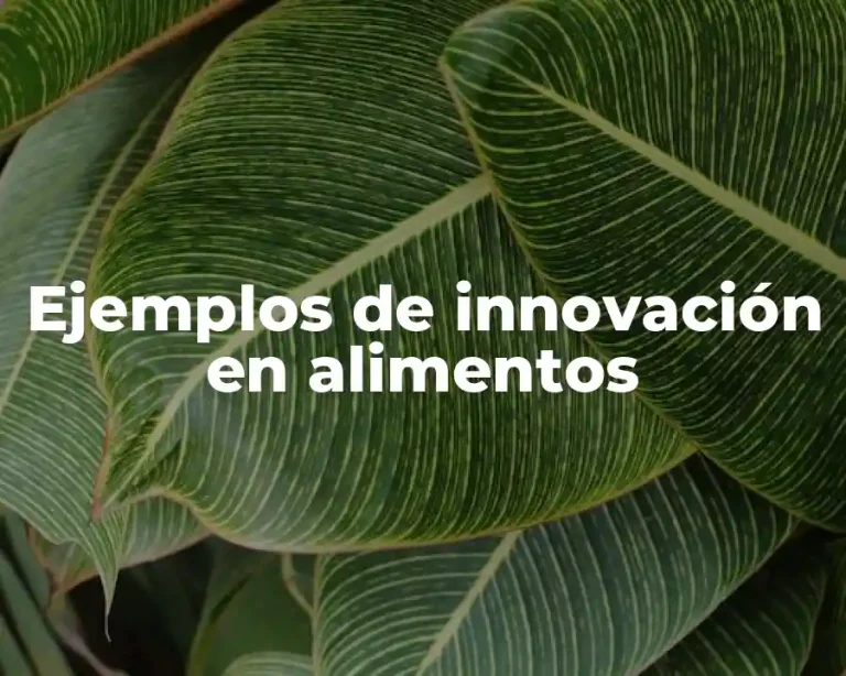 Ejemplos de innovación en alimentos