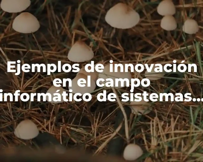 Ejemplos de innovación en el campo informático de sistemas operativos