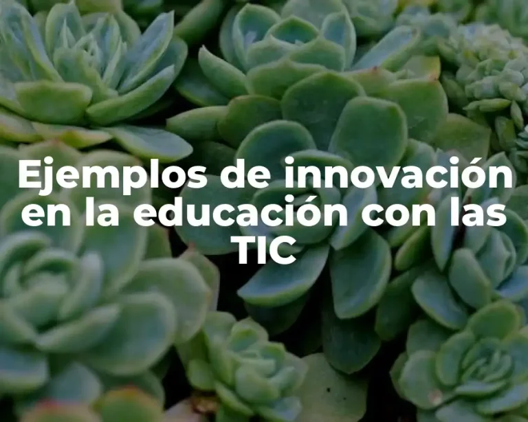 Ejemplos de innovación en la educación con las TIC