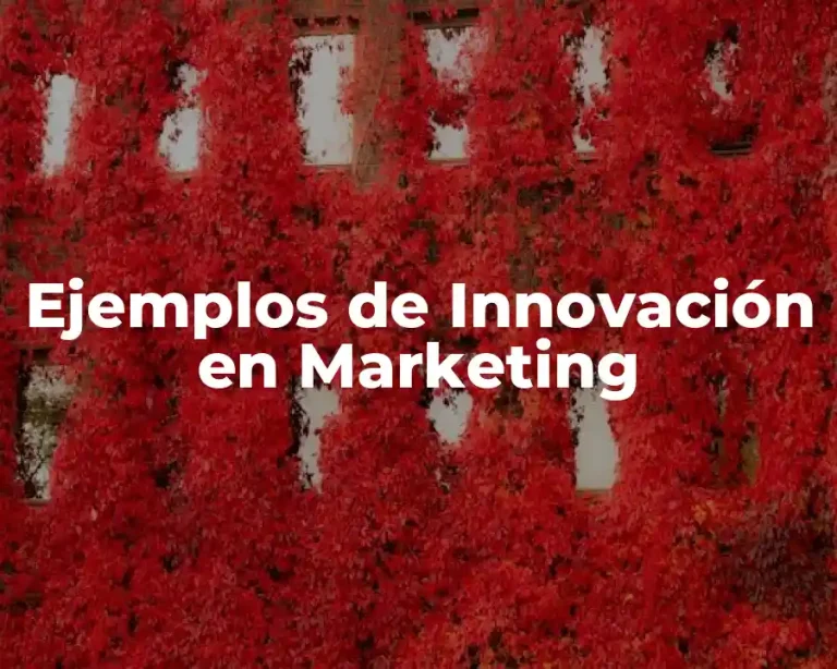Ejemplos de Innovación en Marketing