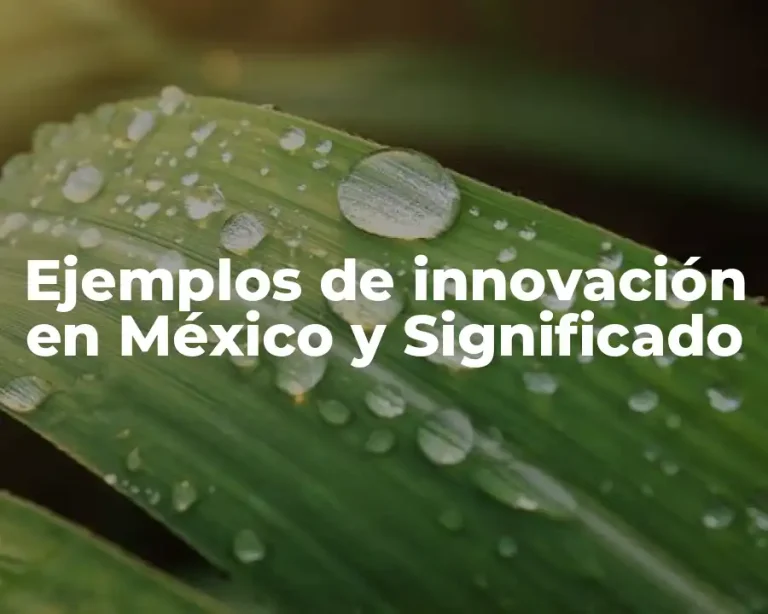 Ejemplos de innovación en México y Significado