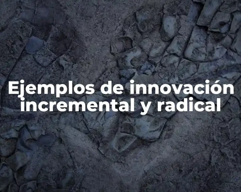Ejemplos de innovación incremental y radical