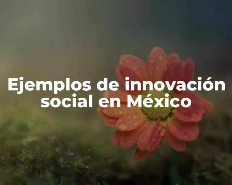 Ejemplos de innovación social en México