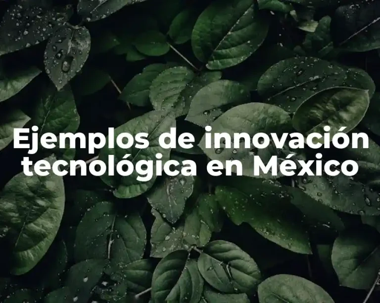 Ejemplos de innovación tecnológica en México