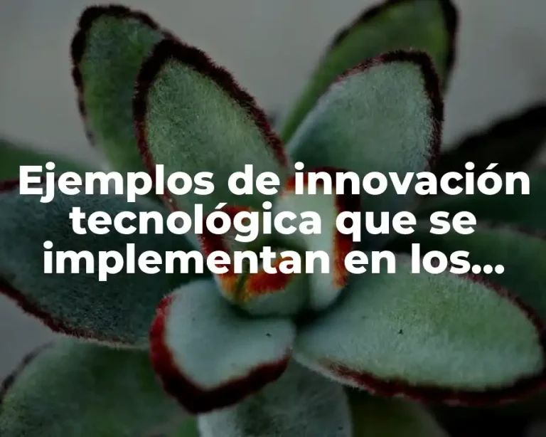 Ejemplos de innovación tecnológica que se implementan en los automóviles