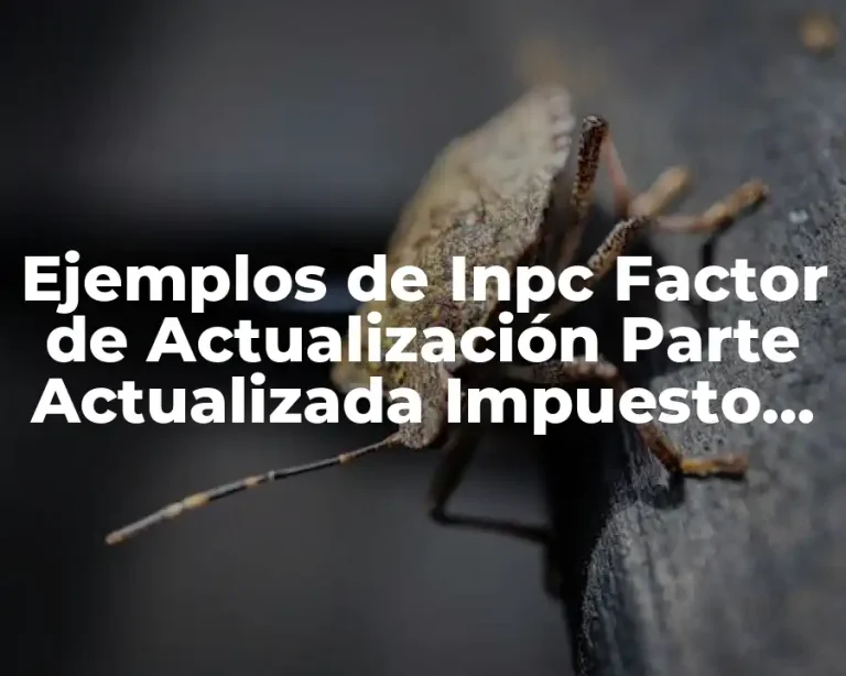 Ejemplos de Inpc Factor de Actualización Parte Actualizada Impuesto Actualizado y Significado