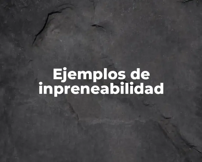 Ejemplos de inpreneabilidad