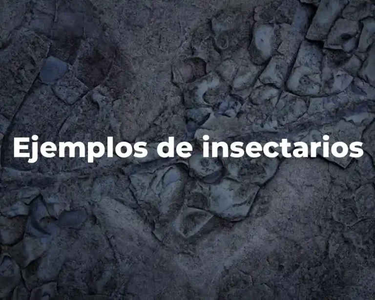 Ejemplos de insectarios