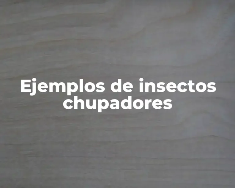 Ejemplos de insectos chupadores