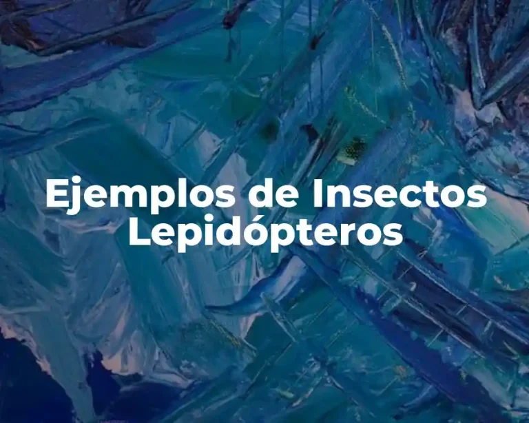 Ejemplos de Insectos Lepidópteros