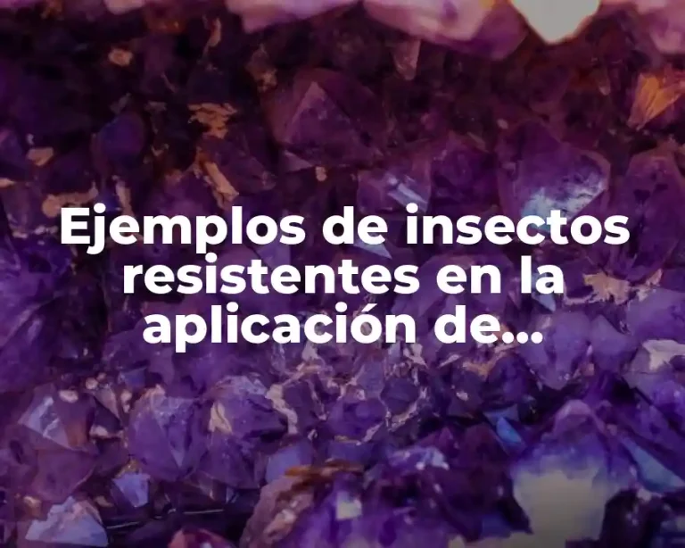 Ejemplos de insectos resistentes en la aplicación de insecticidas y Significado