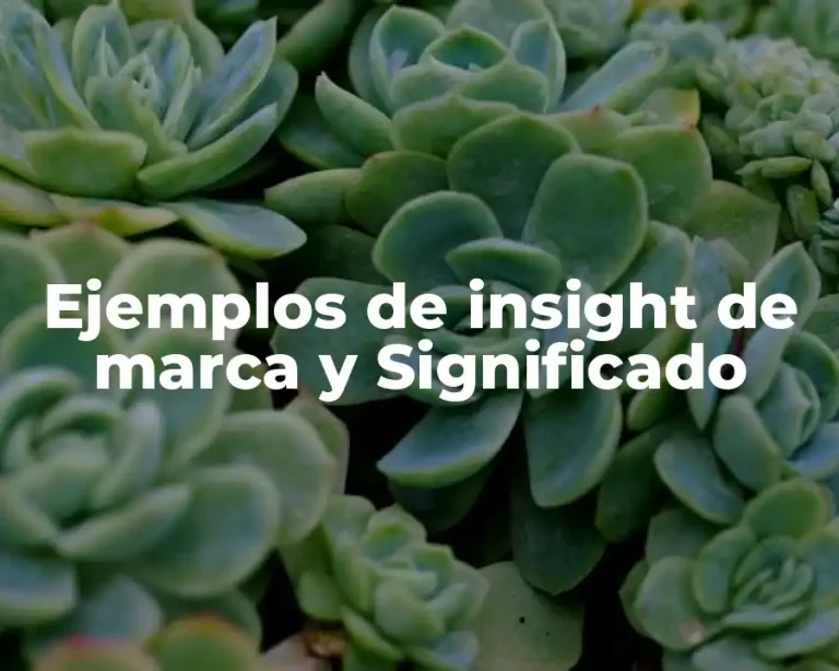 Ejemplos de insight de marca y Significado