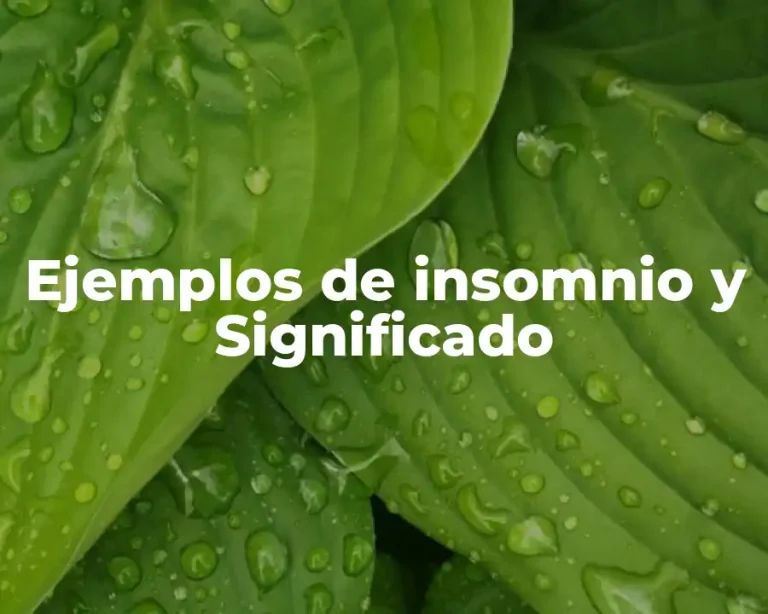 Ejemplos de insomnio y Significado