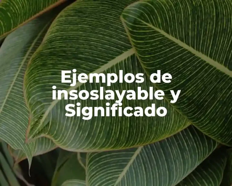Ejemplos de insoslayable y Significado