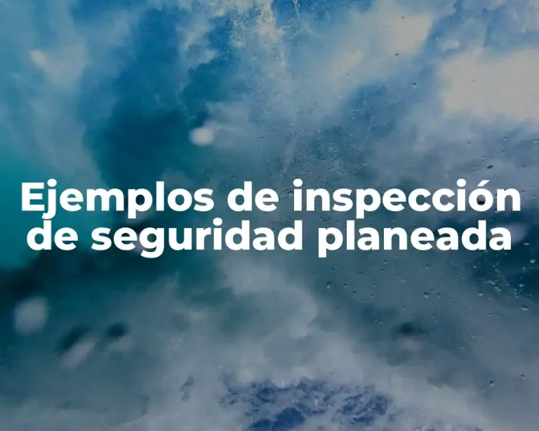 Ejemplos de inspección de seguridad planeada