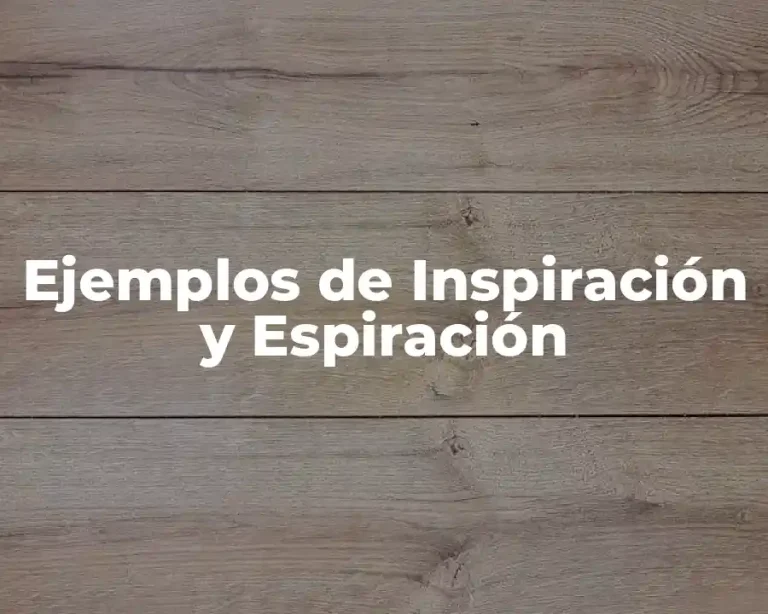 Ejemplos de Inspiración y Espiración