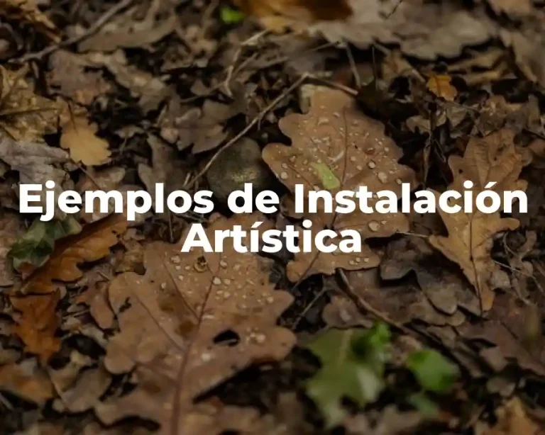 Ejemplos de Instalación Artística