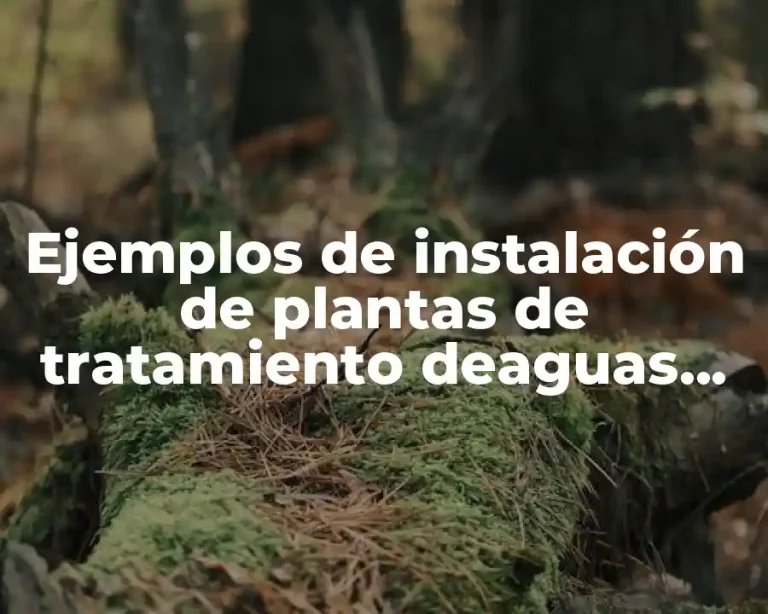 Ejemplos de instalación de plantas de tratamiento deaguas residuales