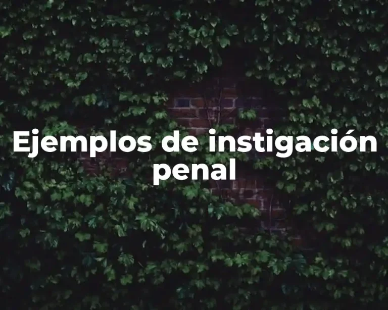 Ejemplos de instigación penal