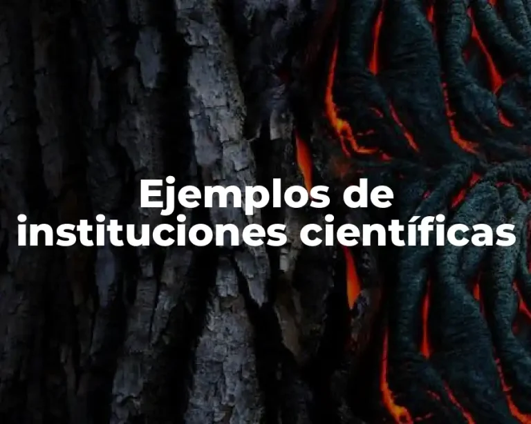Ejemplos de instituciones científicas