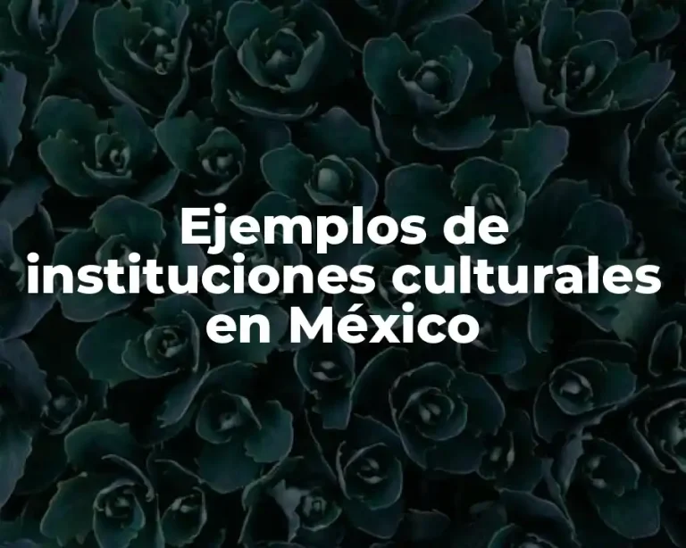 Ejemplos de instituciones culturales en México