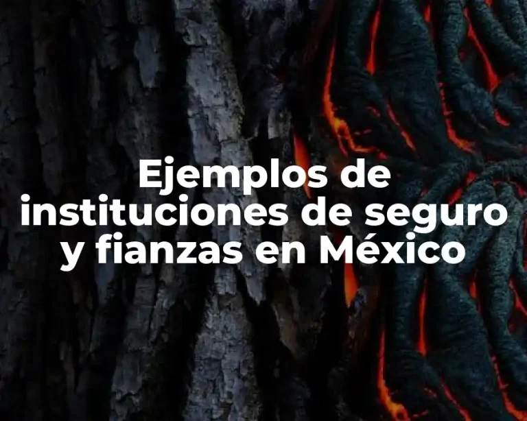 Ejemplos de instituciones de seguro y fianzas en México