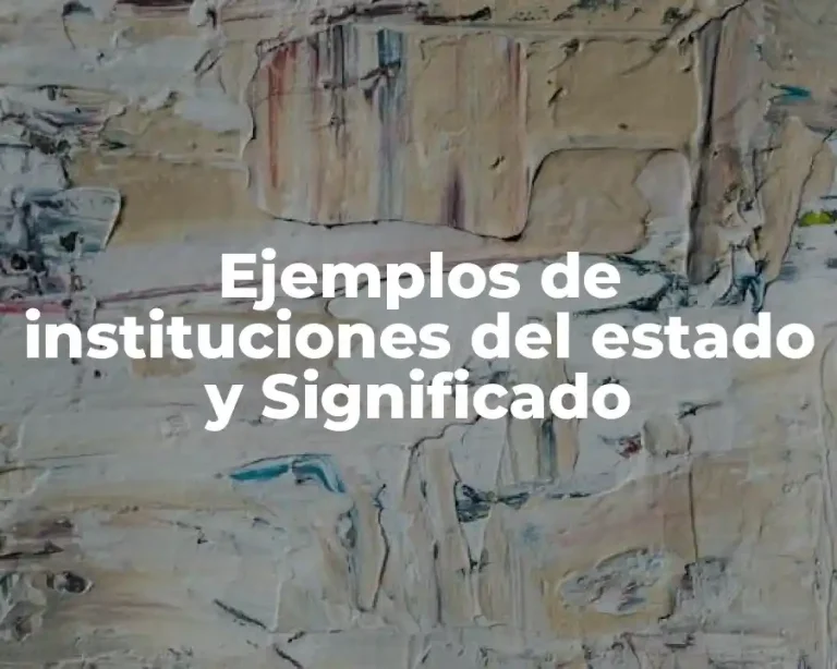 Ejemplos de instituciones del estado y Significado