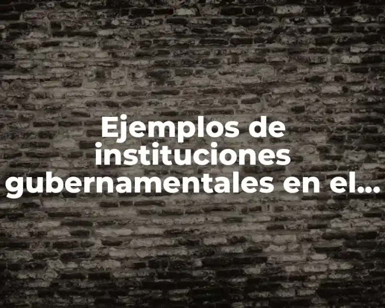 Ejemplos de instituciones gubernamentales en el ámbito cultural