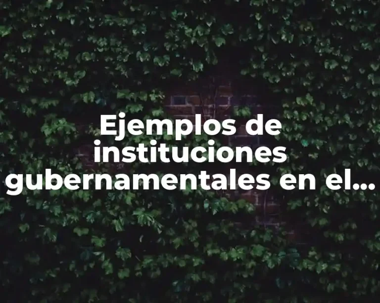Ejemplos de instituciones gubernamentales en el ámbito económico