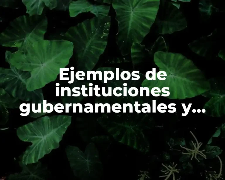 Ejemplos de instituciones gubernamentales y privadas con labores