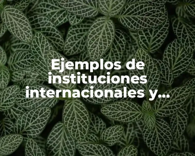 Ejemplos de instituciones internacionales y Significado