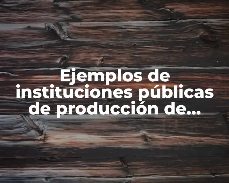 Ejemplos de instituciones públicas de producción de bienes o servicios