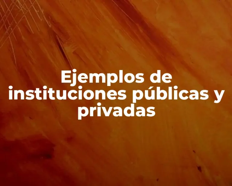 Ejemplos de instituciones públicas y privadas
